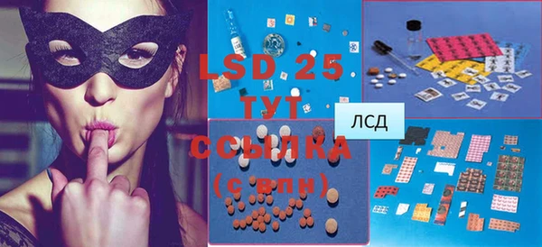 ПСИЛОЦИБИНОВЫЕ ГРИБЫ Абаза