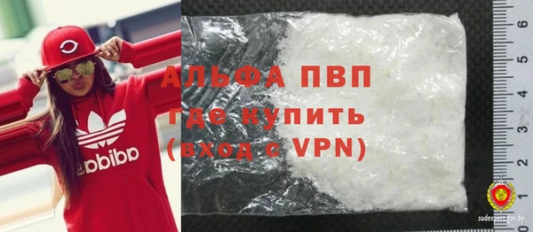 хмурый Алексин