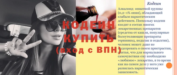 хмурый Алексин