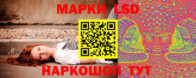 твердый Владимир