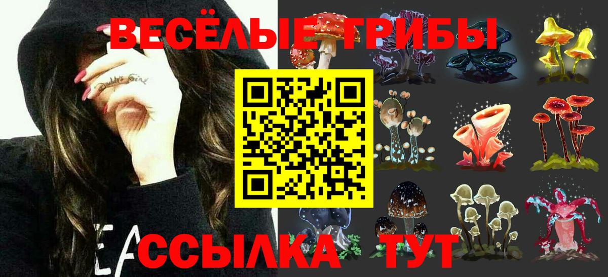 Галлюциногенные грибы мицелий  Вход с VPN  Великий Новгород 