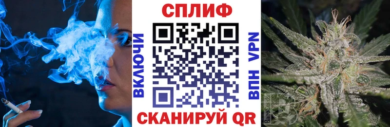 Бошки марихуана THC 21%  Великий Новгород 